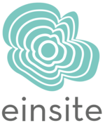 Einsite   new logo
